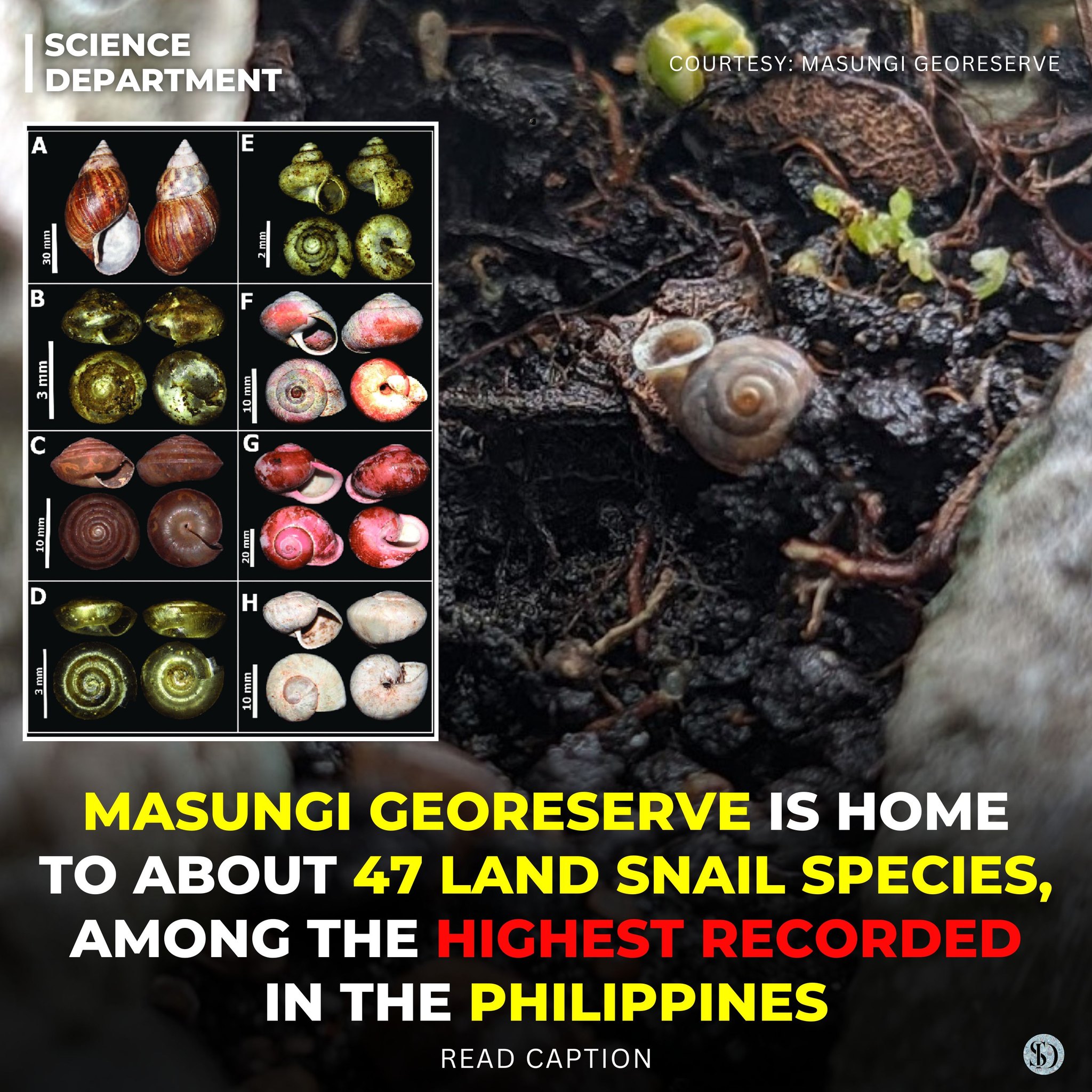 Science - Masungi Georeserve in Rizal is recognized as one of the most ...