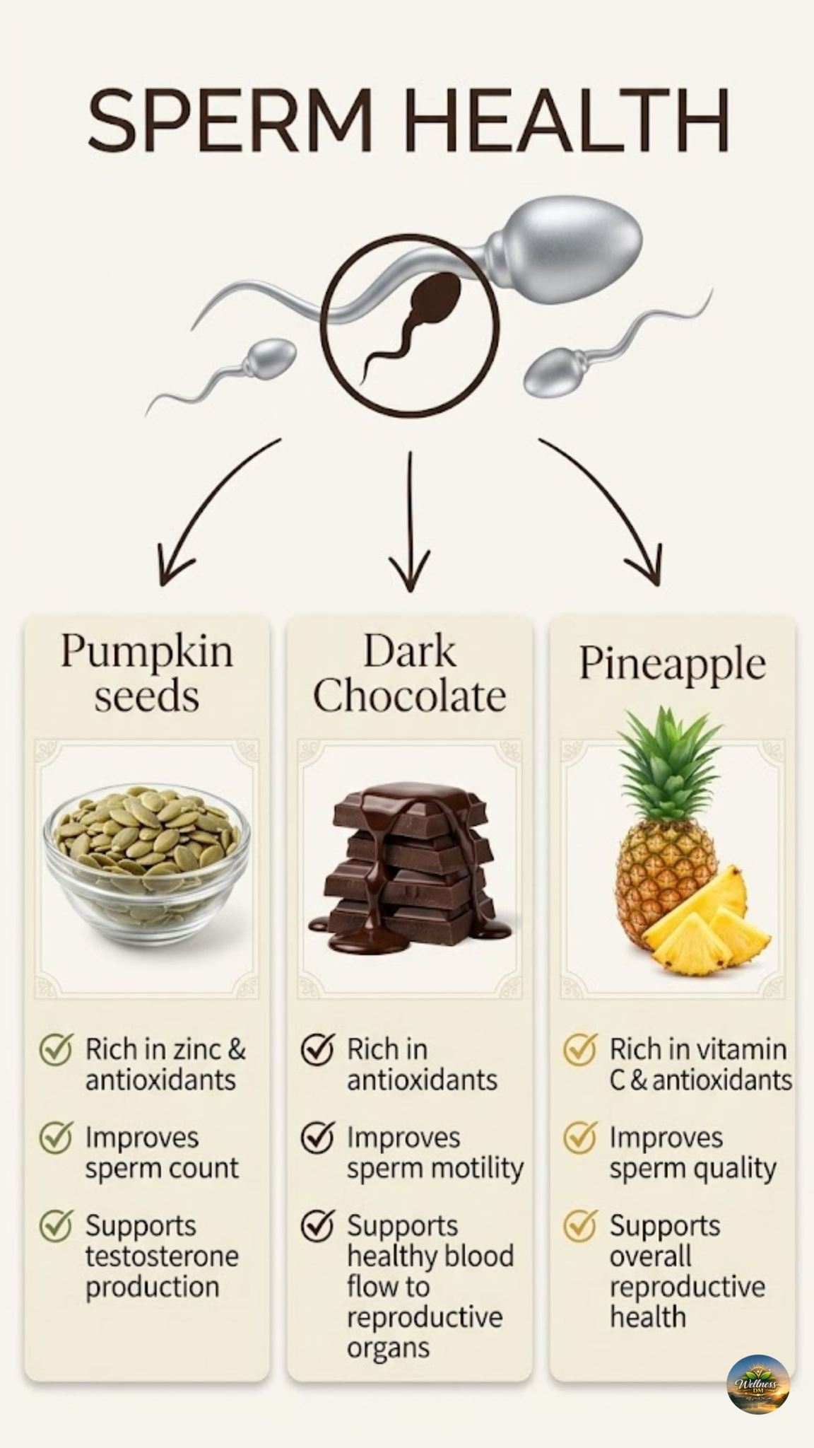 Male fertility matters too 💛 Eating well supports male fertility by improving sperm count, motility, and overall sperm health. Nutrient dense foods help reduce inflammation, support hormone production, and protect sperm quality