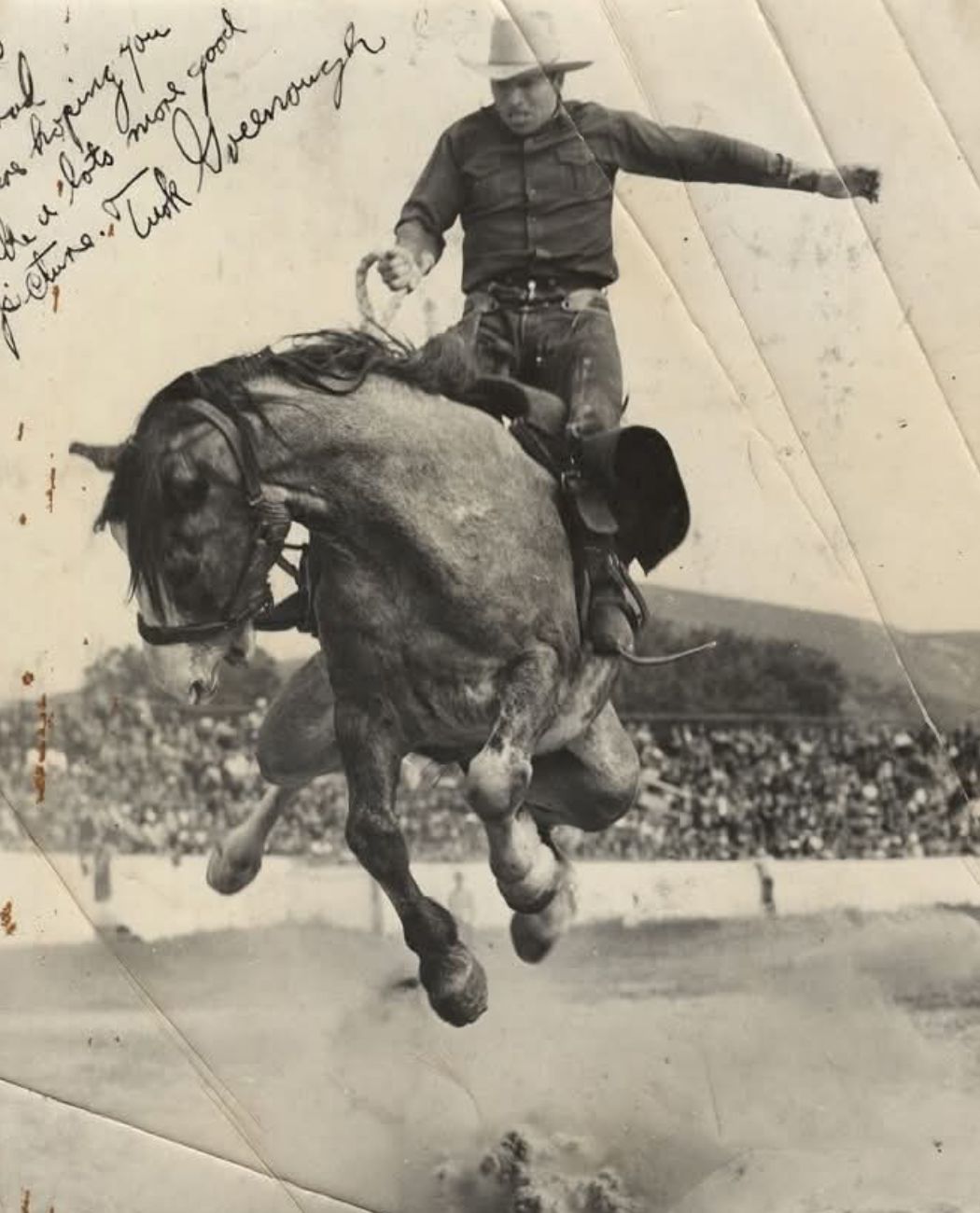 Paixão - Turk Greenough — Pioneer of Saddle Bronc Riding, Patriarch of ...