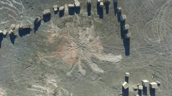 Hudson - On December 19, 2019, the earliest fossilized trees, 386 ...