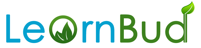 LearnBud