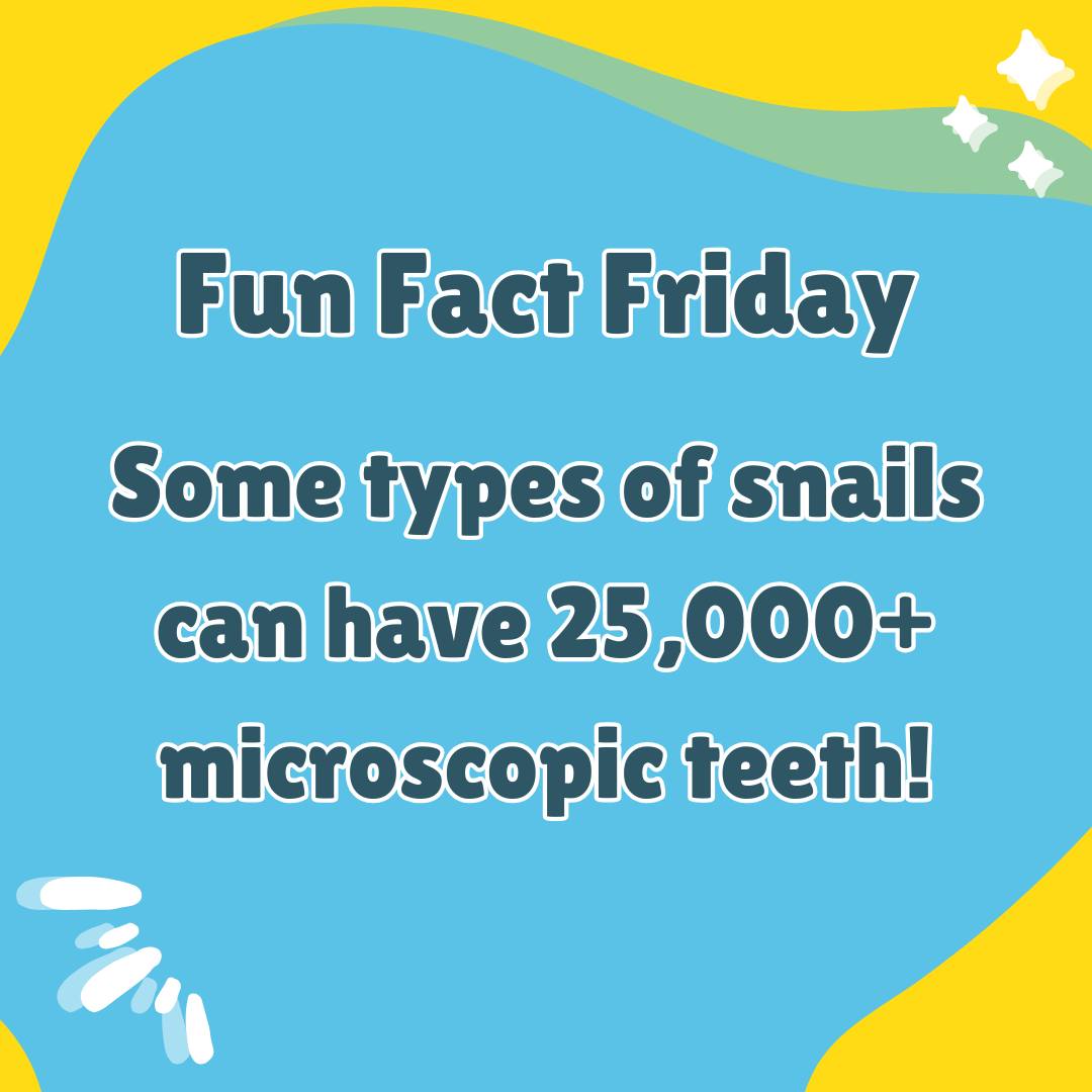 Let's talk... - Adventure Dental, Vision and Orthodontics | Facebook