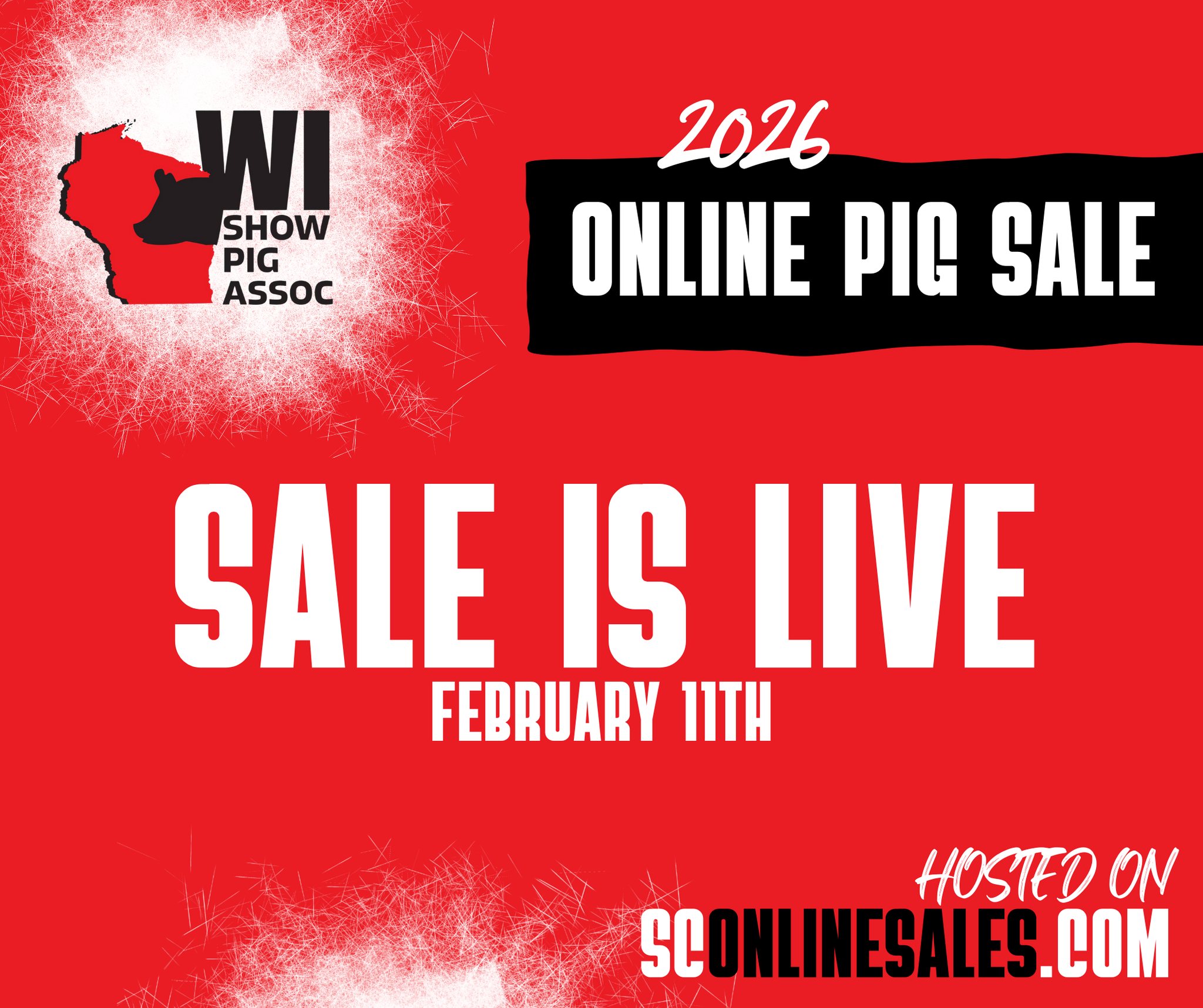 Wisconsin Show Pig... - Wisconsin Show Pig Association