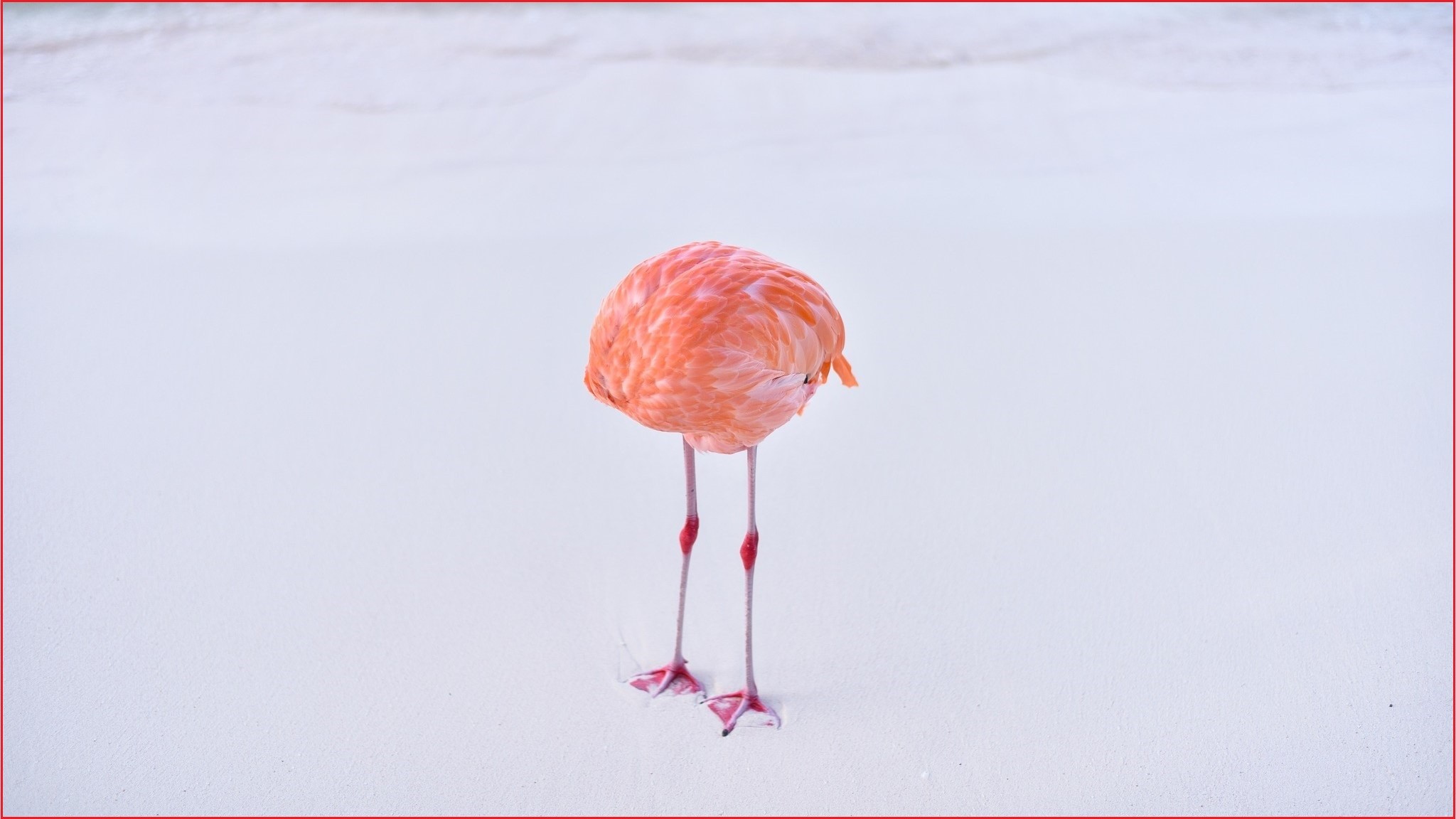 Museums - Photographer disqualified after real image wins AI ...