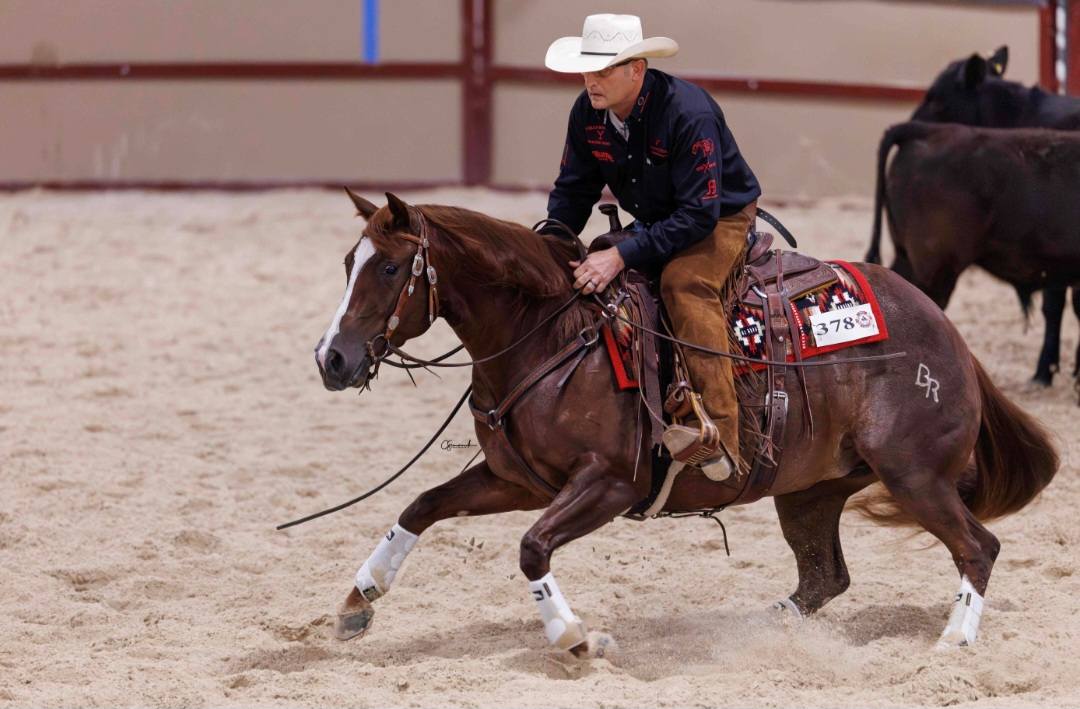 Booth Ranches - Horse Division - We are excited to welcome this ...