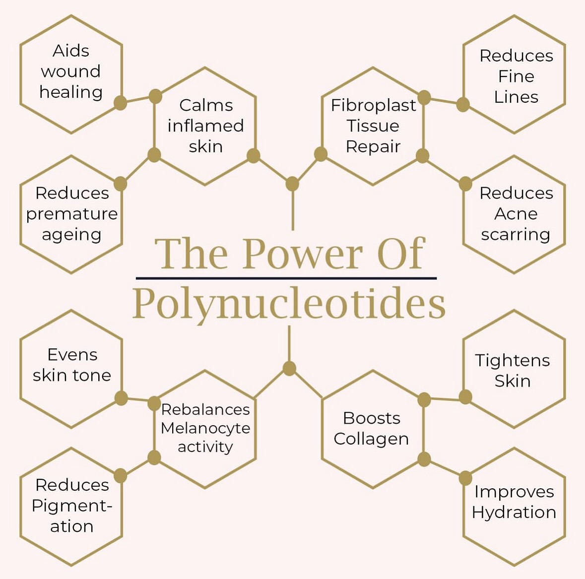 Kat - The Power of Polynucleotides Polynucleotides are revolutionising ...