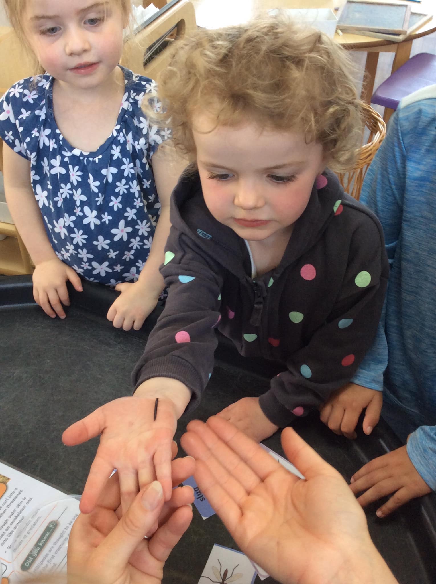 Mulberry Roots Nursery | Haslingden