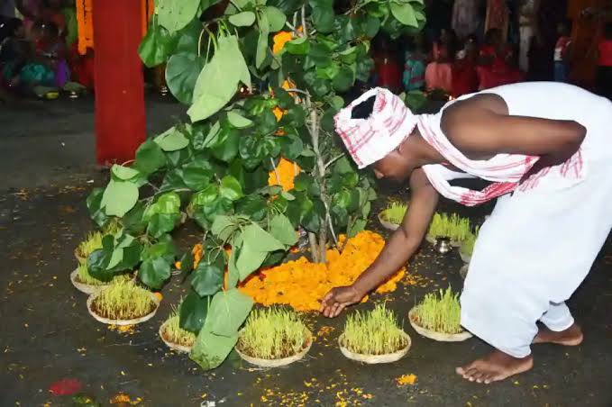 DFHS Demdima Fatima High School-HS डिमडिमा फातिमा उच्च विद्यालय added a ...