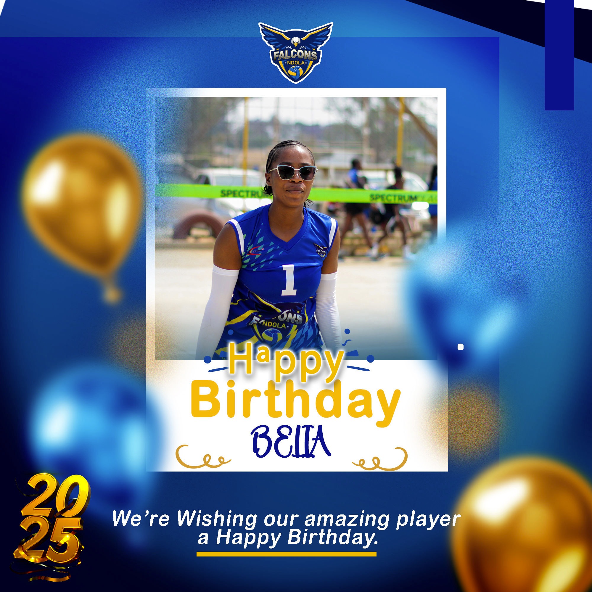 Falcons Volleyball CLUB | Ndola