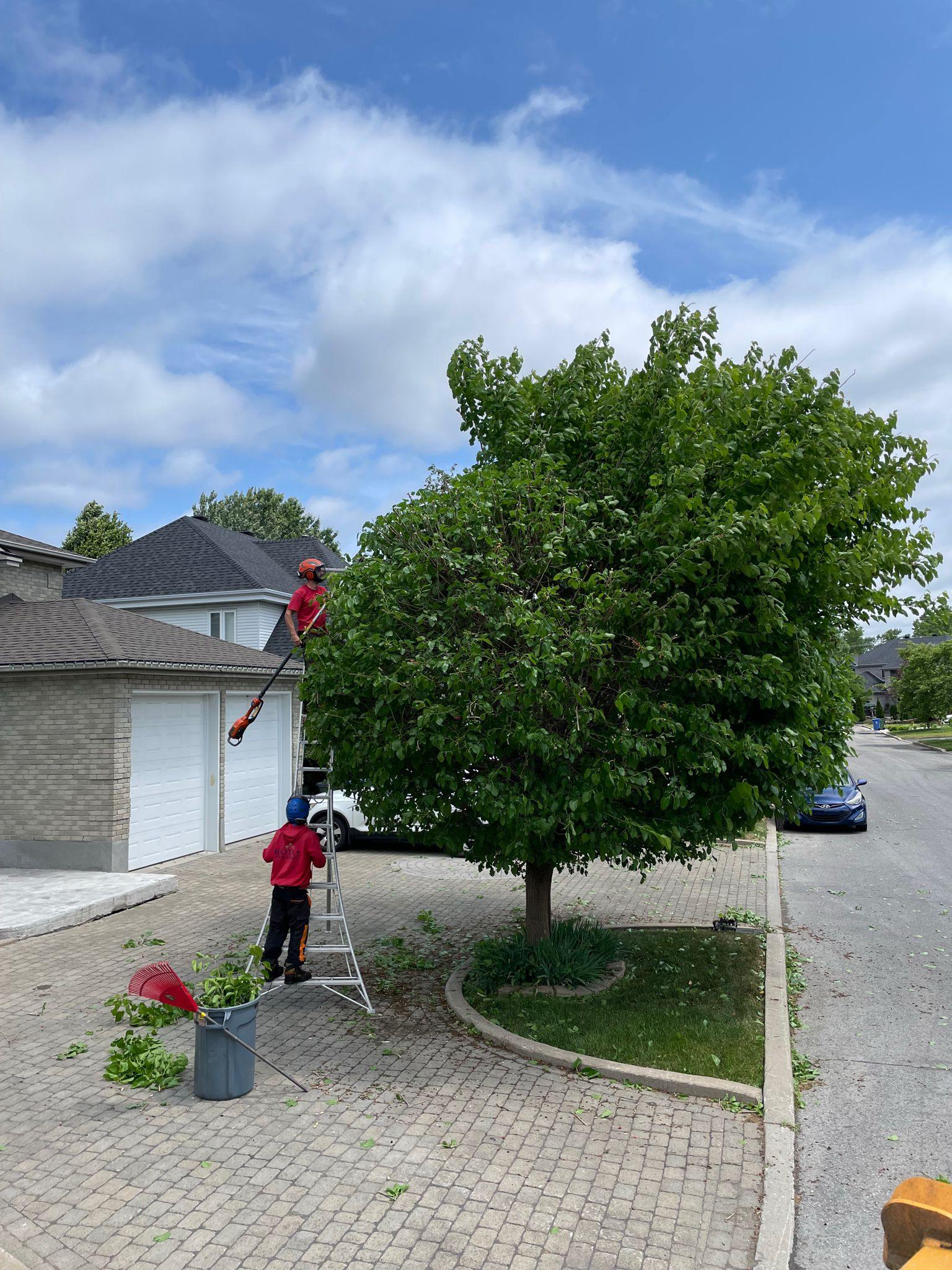 Royal Tree Service | Kirkland QC