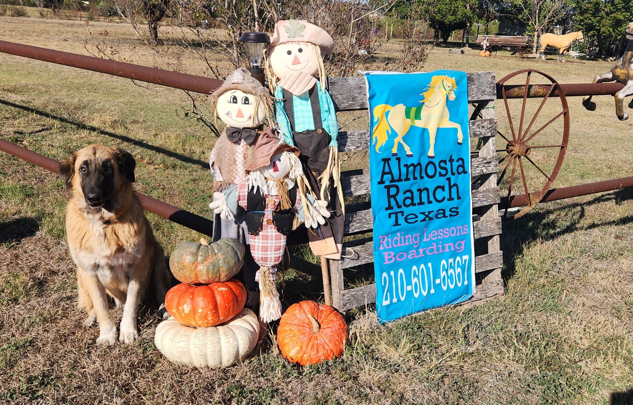 Almosta Ranch Texas | Marion TX