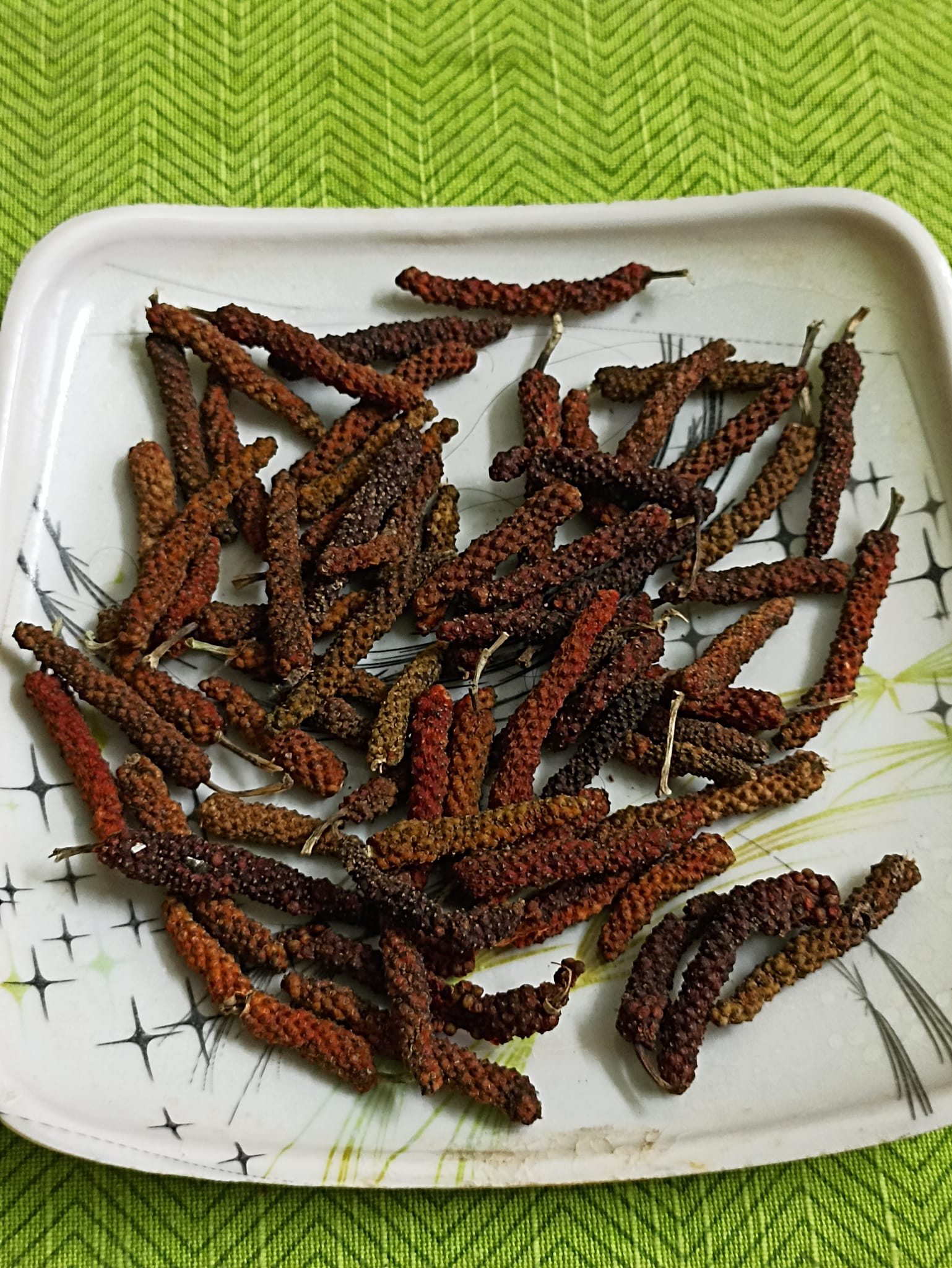 Long pepper/Pippali – Phyto Farm Global