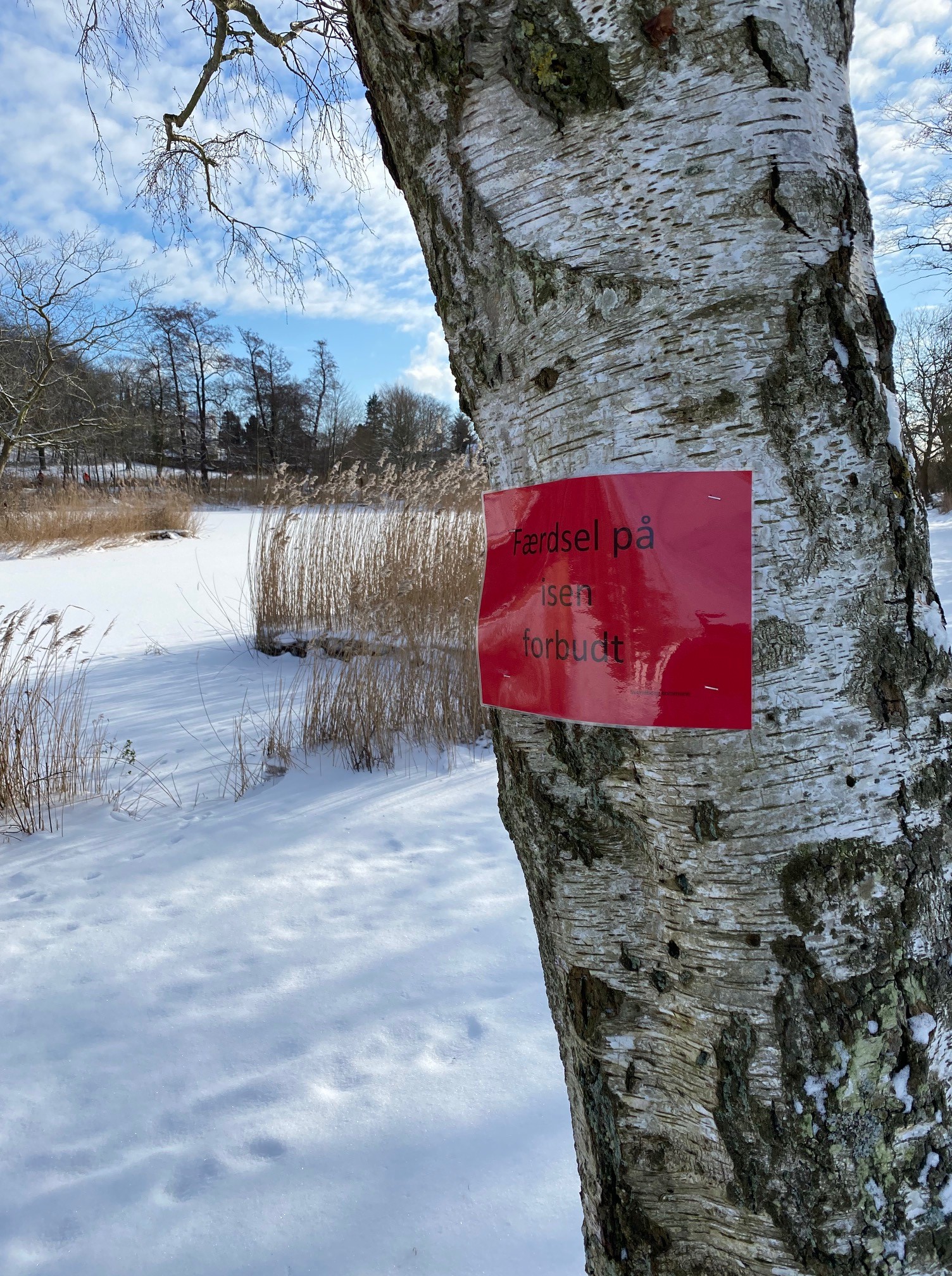️ Er isen sikker? Det korte svar:... - Svendborg Kommune | Facebook