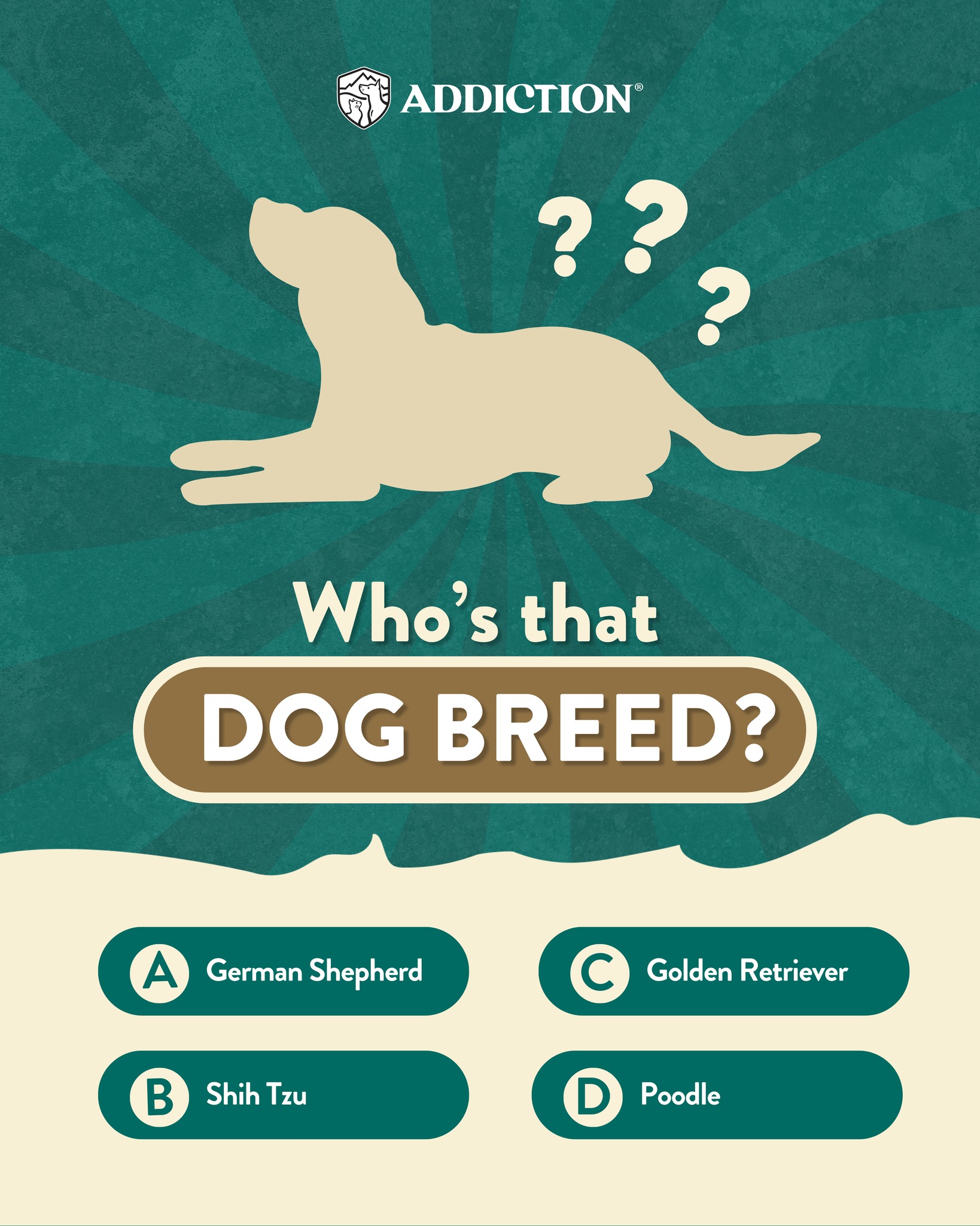 Curated visual reference: Picture Idea: Addiction Pet Foods Travelling With Your Pet Consult Your