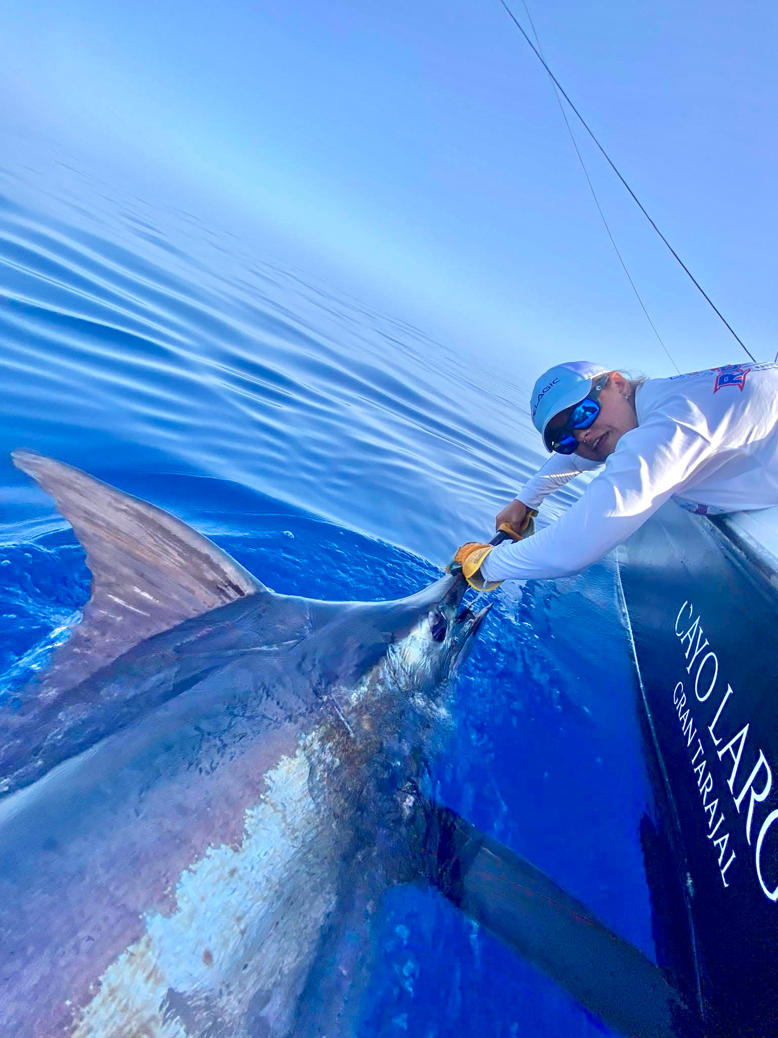 Fuerteventura, Canary Islands - Resacca released a Blue Marlin.