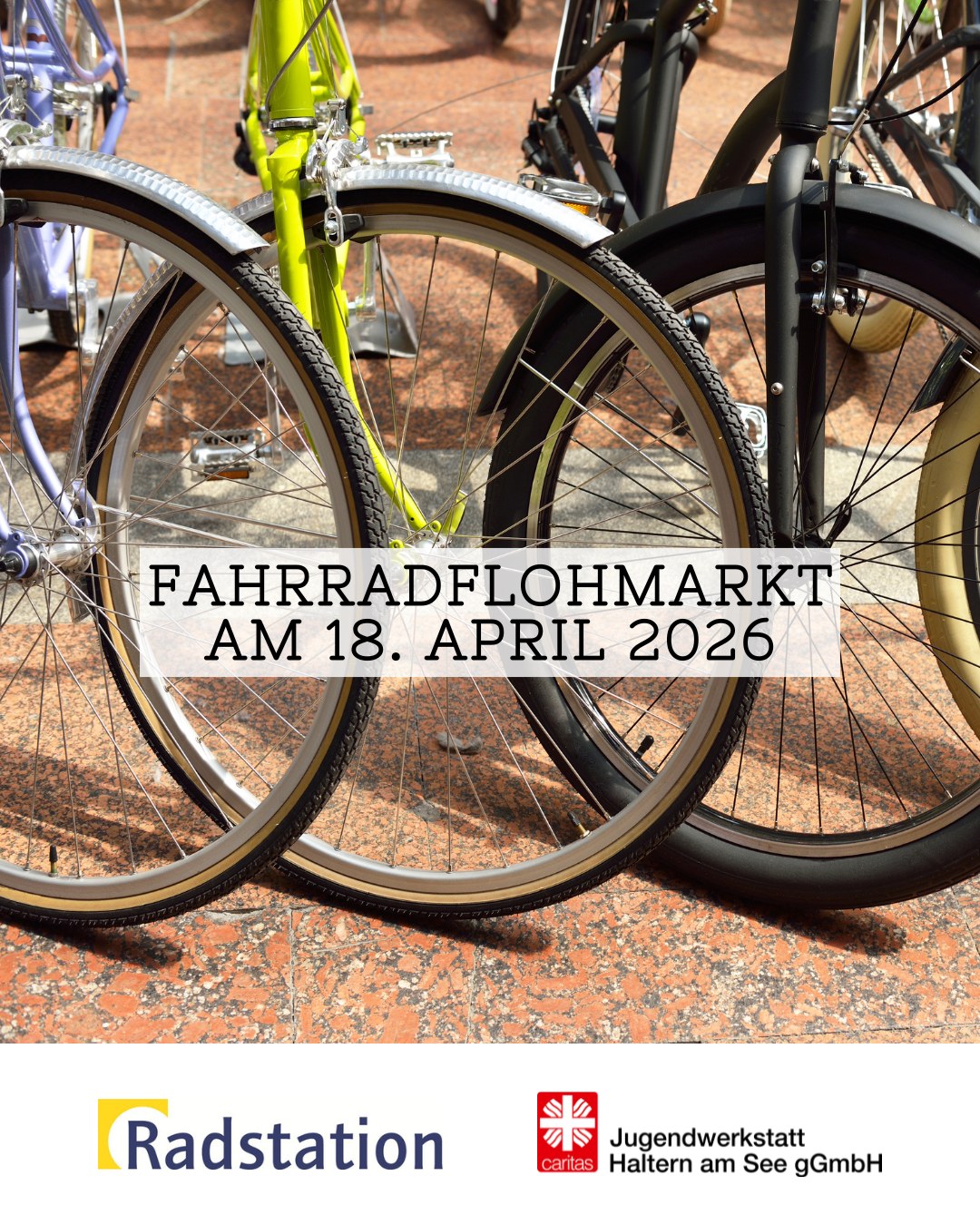 fahrradrahmen m SPECIALIZED DEMO RACE 2025 RAHMEN – Pro-M SRL year-2025 Friedhofszwang [umgehen] ▷ Urne Color:Graphite Heather