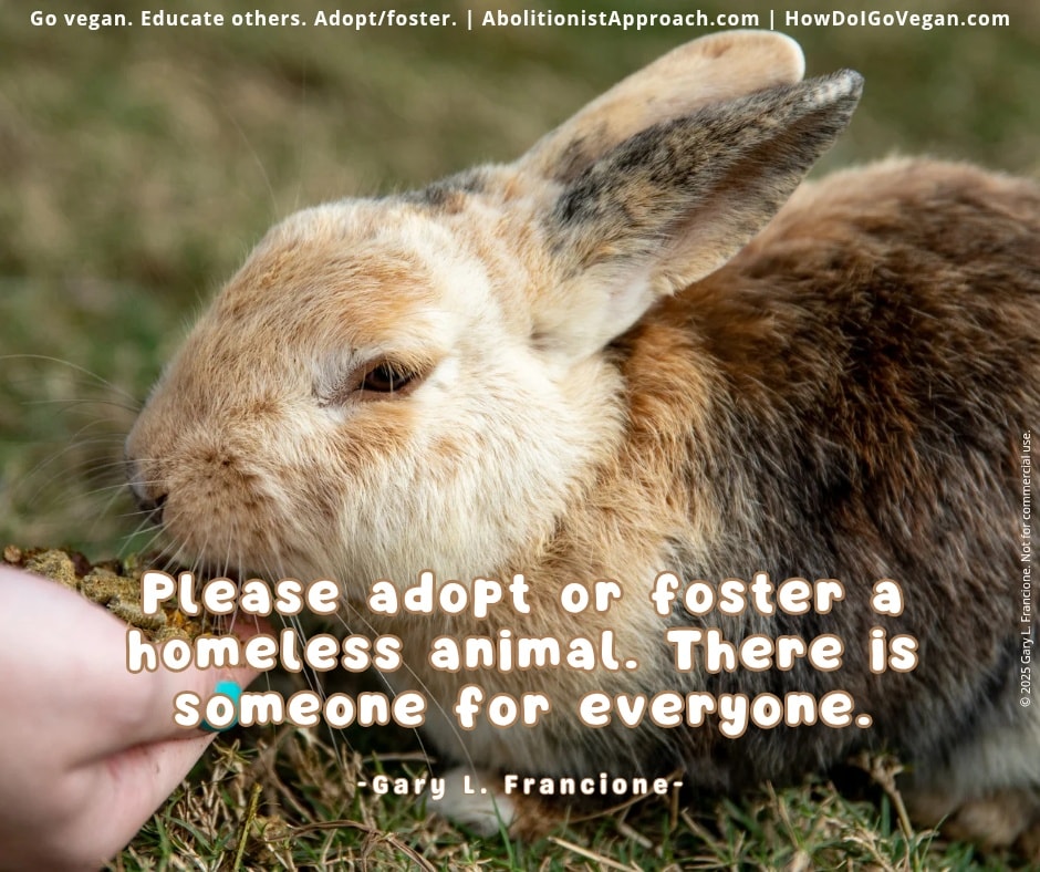 The kill lists of the Animal Care Centres of NYC are now being referred ...