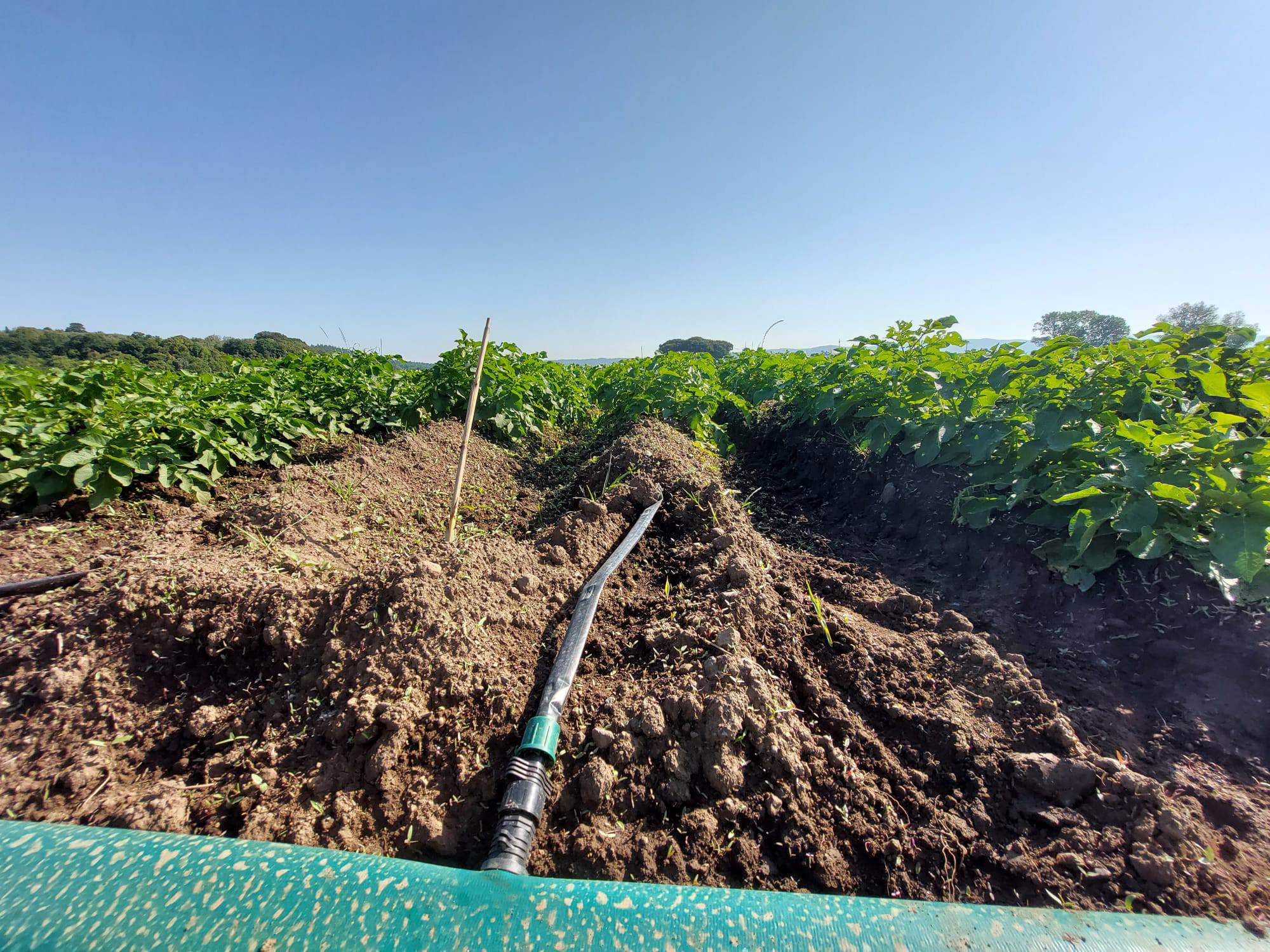 Sub Irrigation Example