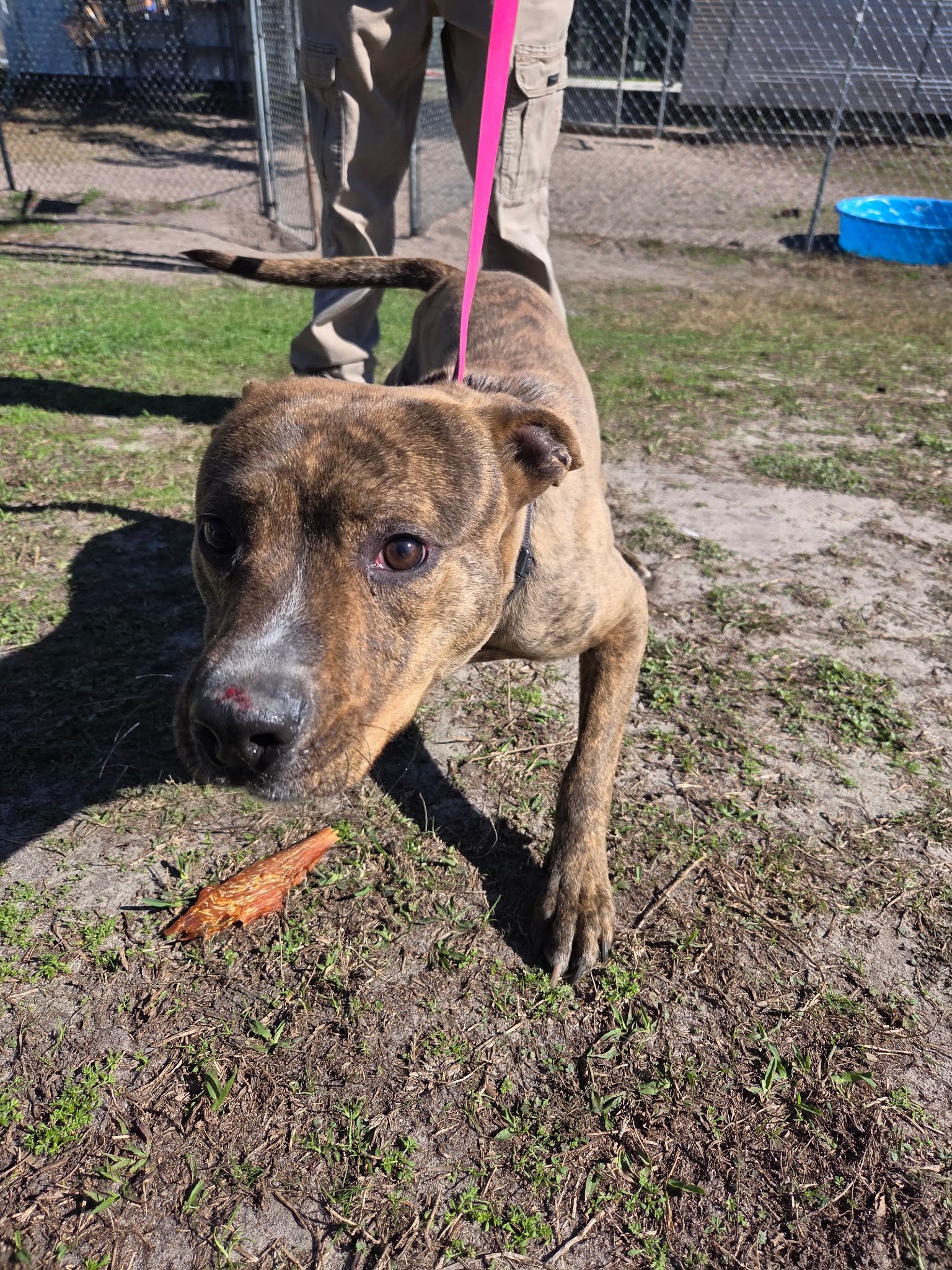 Lake City Humane Society added... - Lake City Humane Society