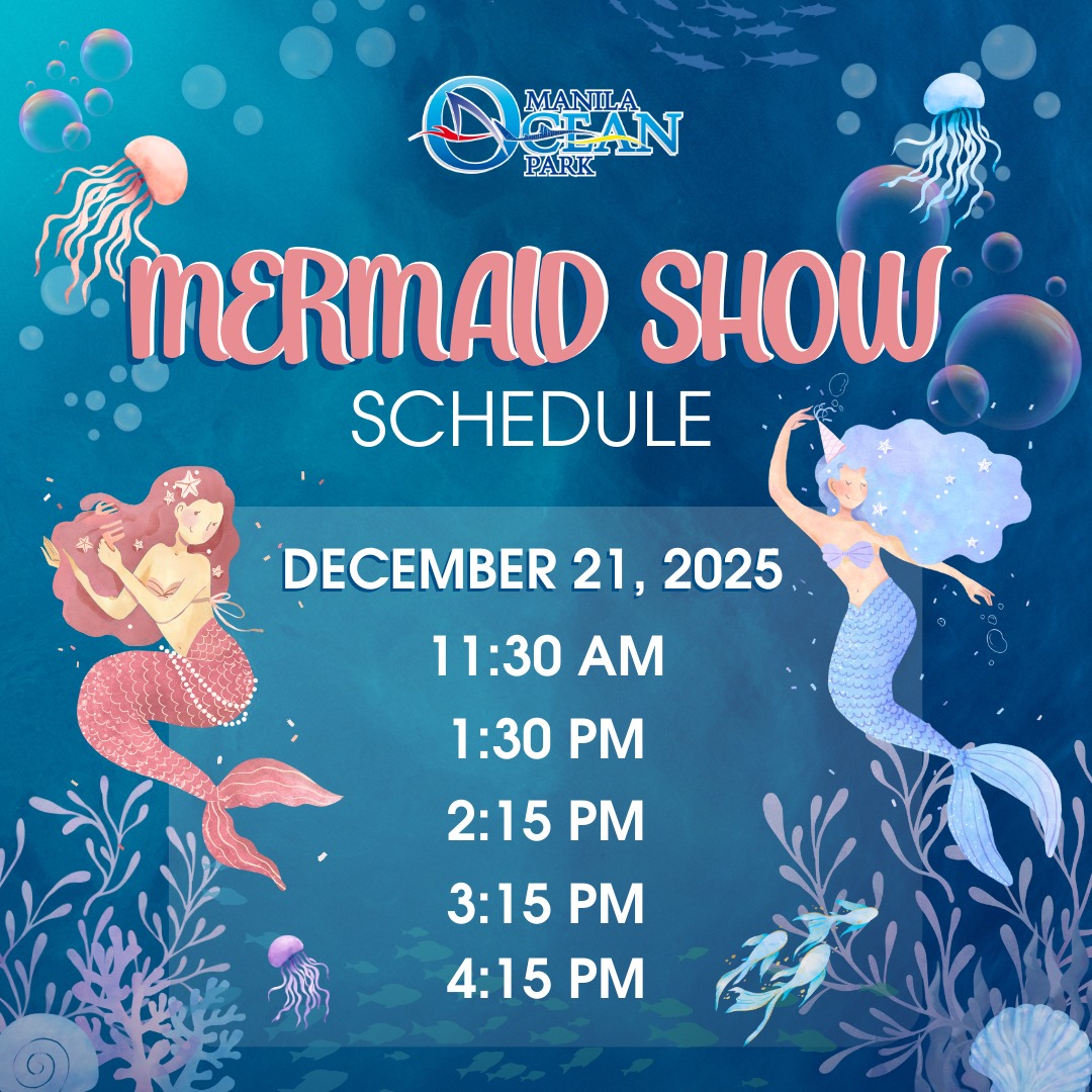 Manila Ocean Park added a new photo. - Manila Ocean Park