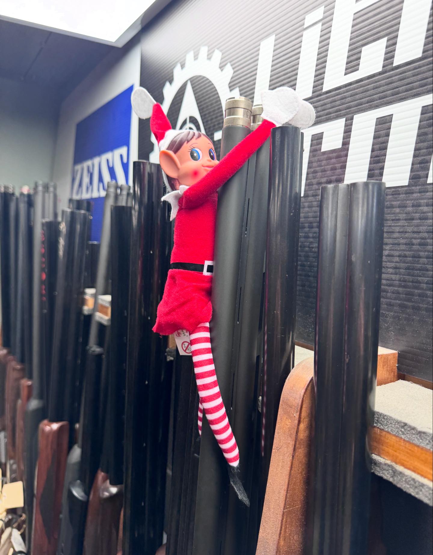 Fat - Fat Rat Freddie has officially clocked on for elf season at fat ...