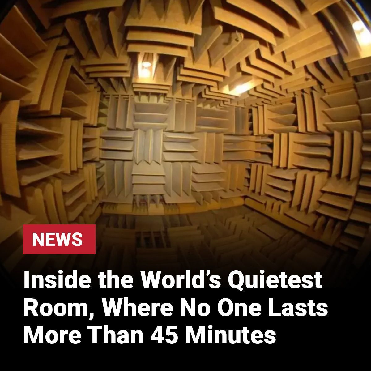 Faves - How long could you last in the world's quietest room? Find out ...