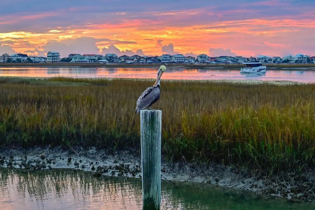 Murrells - There’s something magical about Murrells Inlet, isn’t there ...