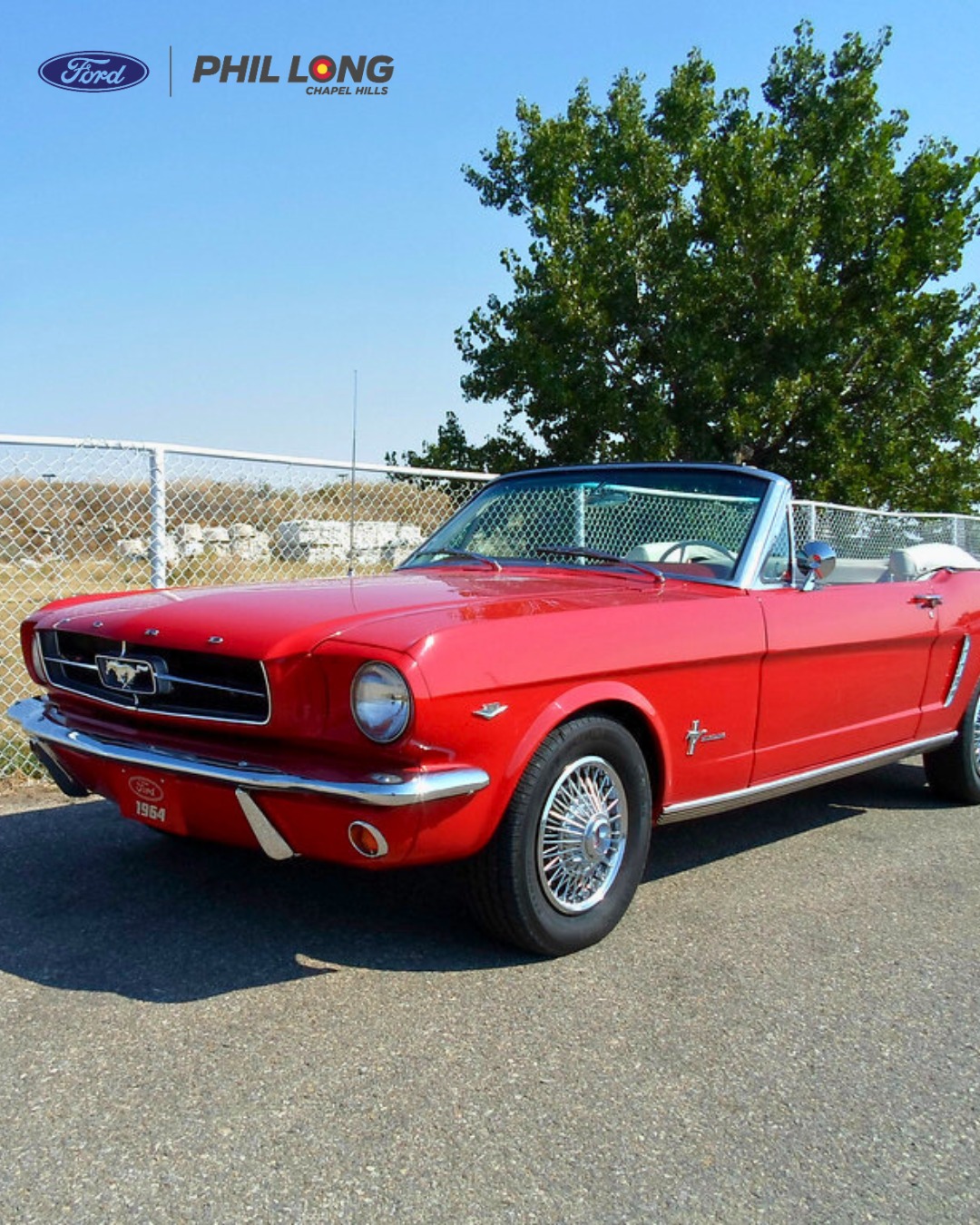 Retenedor De Parrilla Para Ford Mustang 1964-65 – El Detalle De Acero Que Completa El Frontal