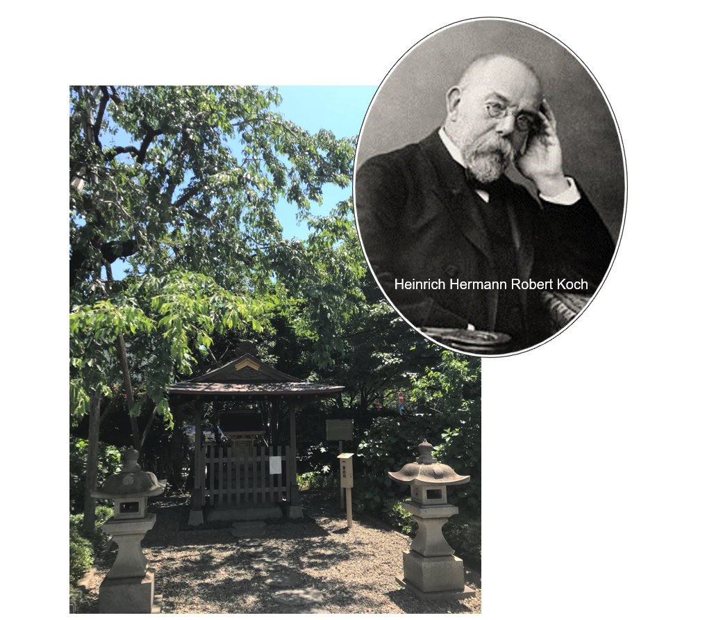 ドイツの医師 ロベルト・コッホ (1843年12月11日-1910年5月27日) は