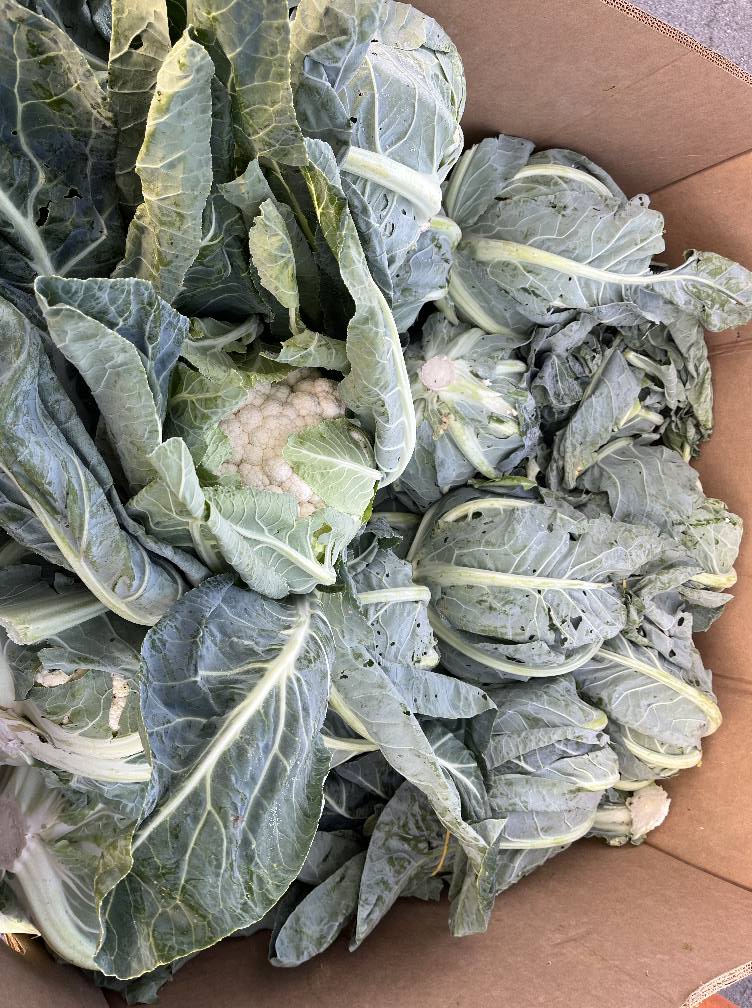 Perrone's Farm Inc. added a new photo. - Perrone's Farm Inc.