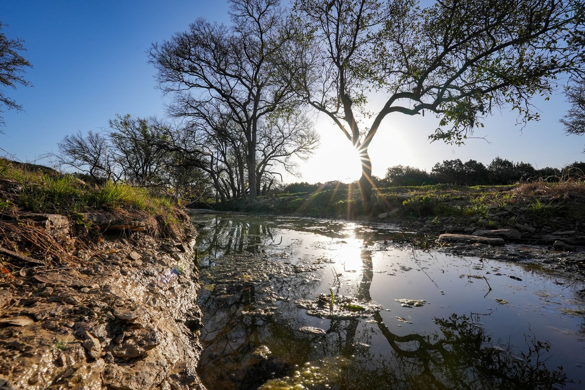 Texas - 🚨 JUST HIT THE MARKET 🚨⎮ Twin Lakes Ranch ⎮ 574.85± Acres Twin ...