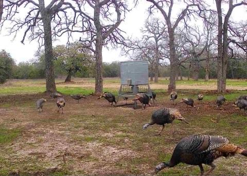 Texas - 🚨 JUST HIT THE MARKET 🚨⎮ Twin Lakes Ranch ⎮ 574.85± Acres Twin ...