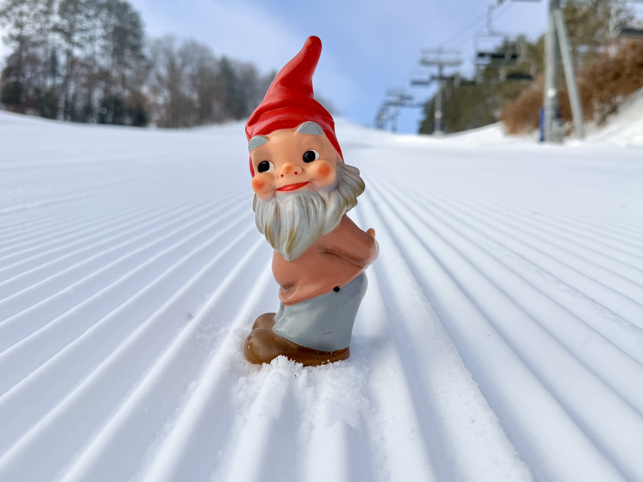 Trollhaugen - NOW HIRING!🌳☀️🌲We are in need of a few thrill seeking ...
