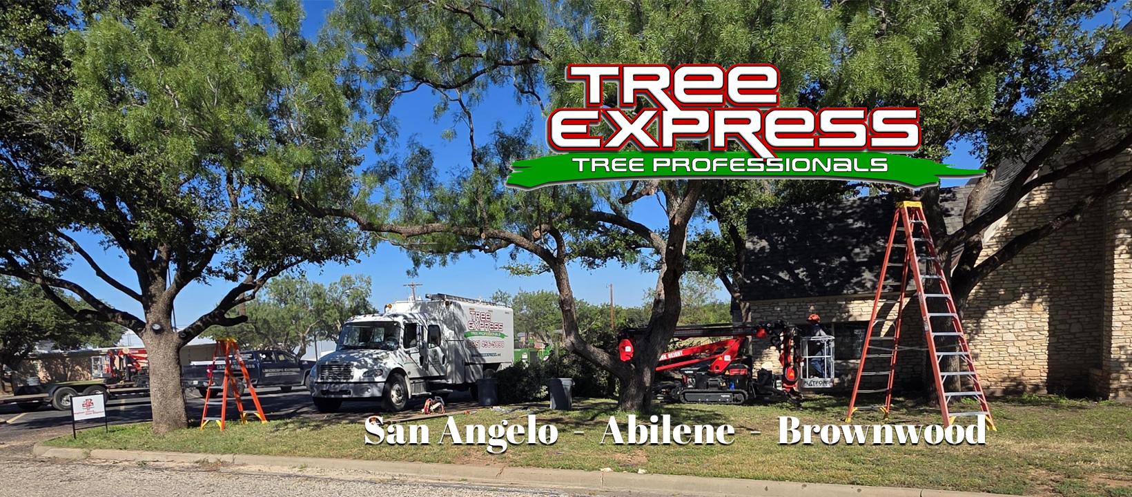 Tree Express