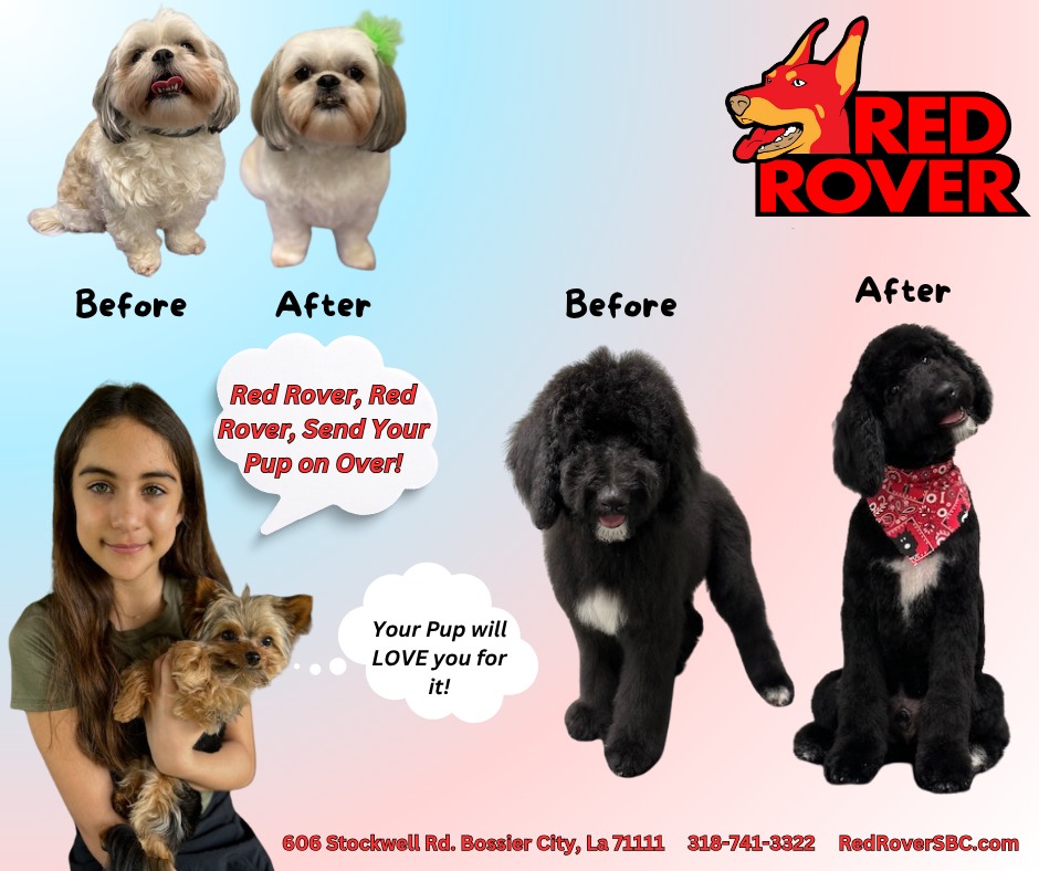 Red Rover - Red Rover added a new photo.