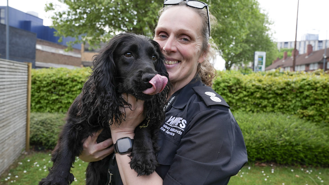🐾 Meet Holly 🐾 Say hello to... - West Midlands Fire Service | Facebook