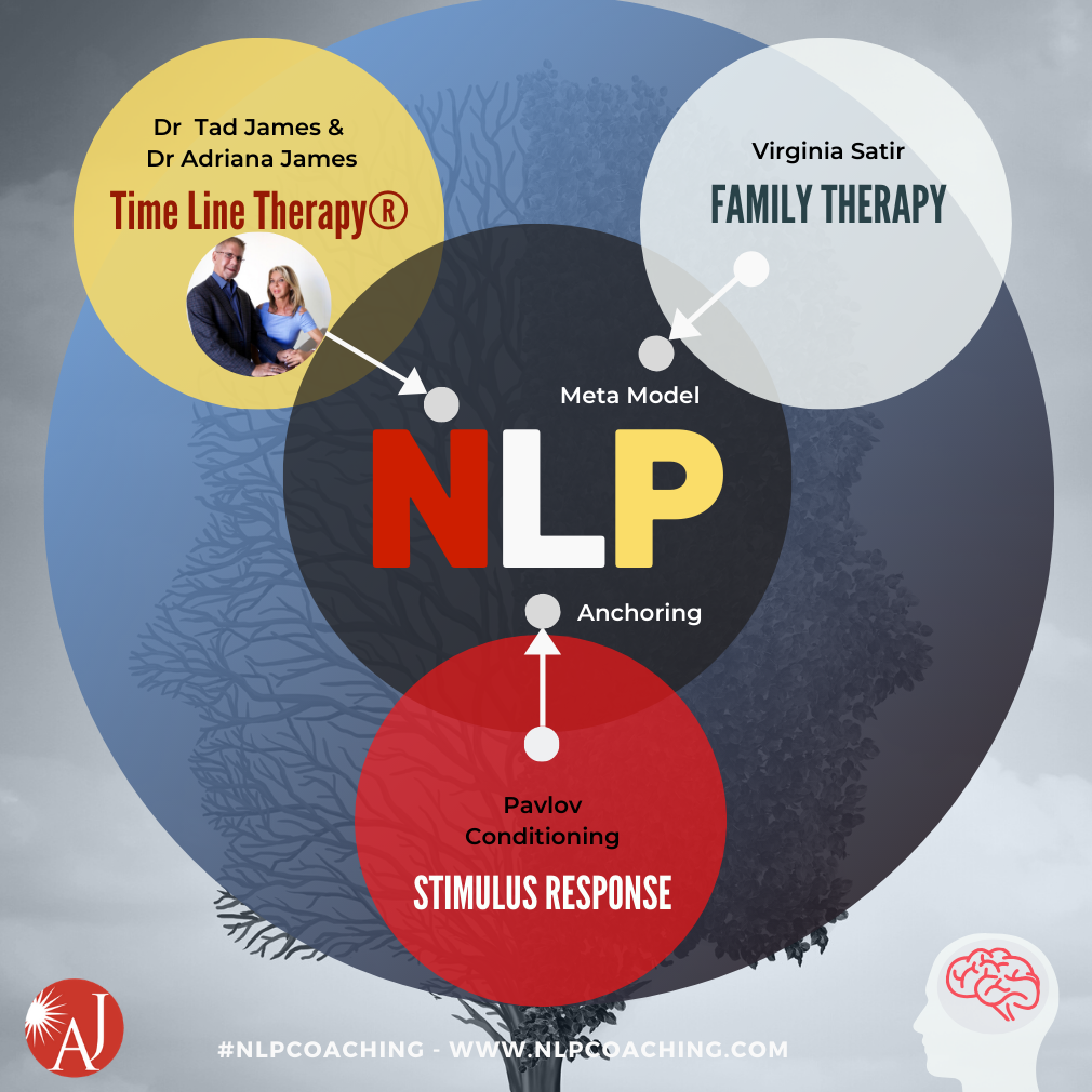 The original one and only of its... - NLP - Dr. Adriana James | Facebook