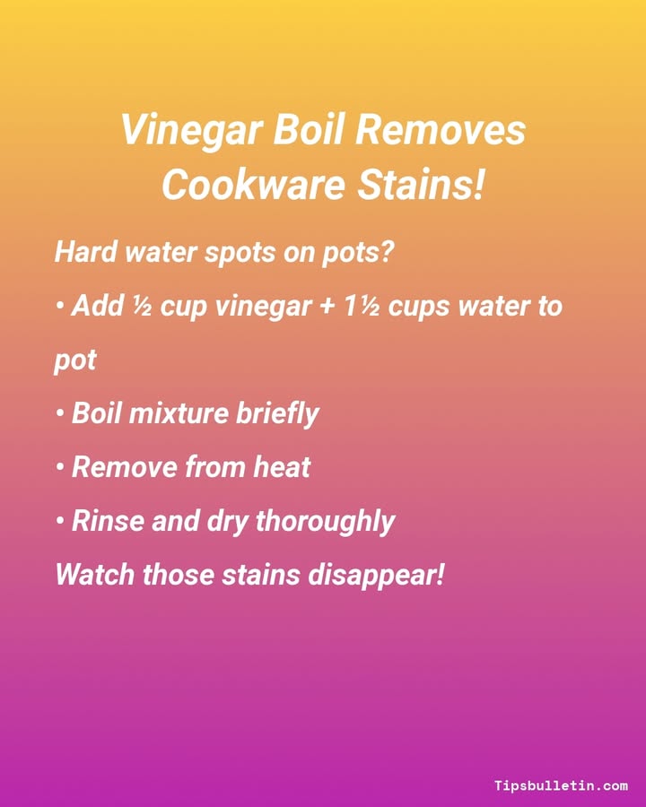 Home Tips World