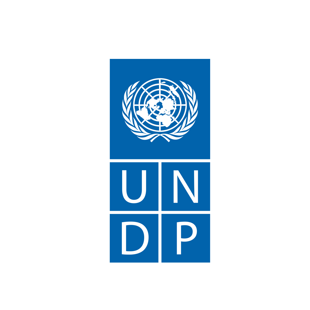 UNDP - United Nations Development Programme - UNDP 🇰🇪🇰🇪 has embarked on ...