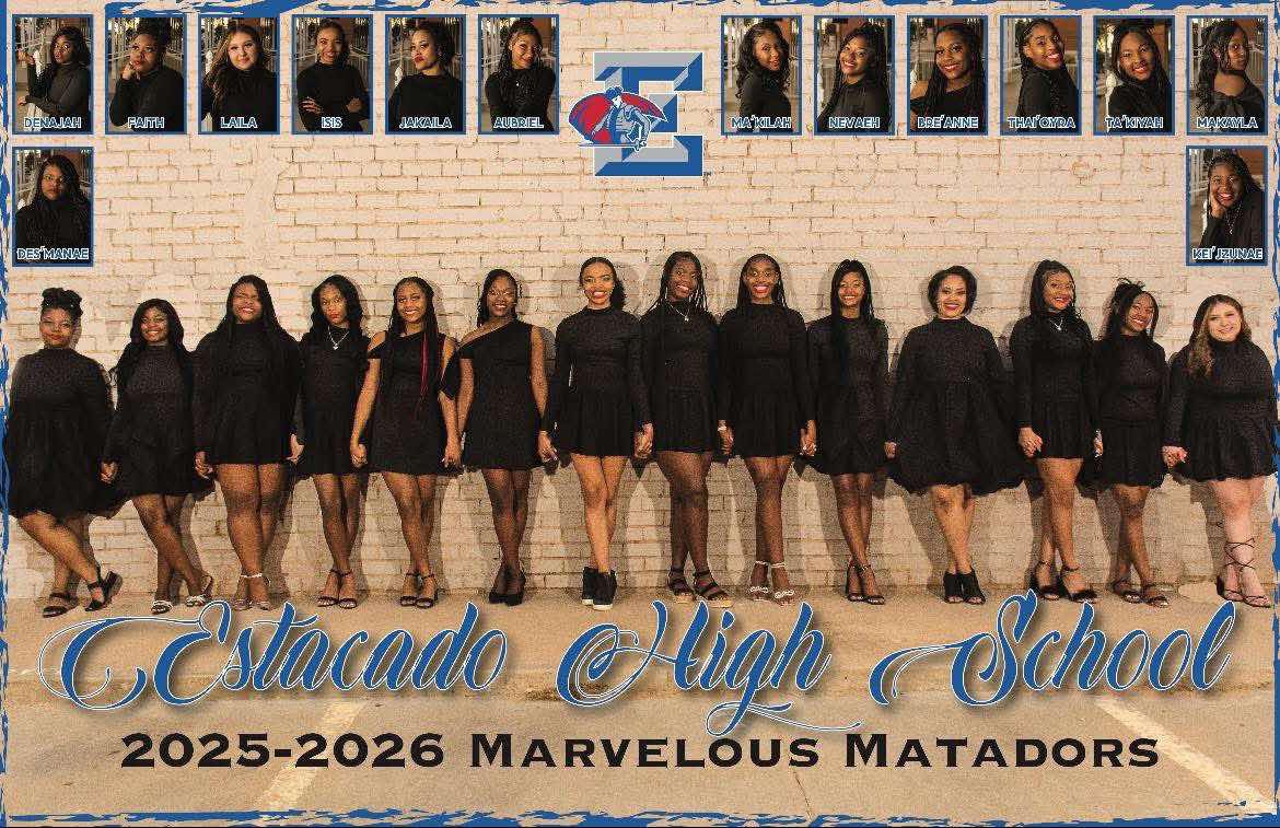 Pete - This is awesome for the Estacado Marvelous Matador Pom Squad ...