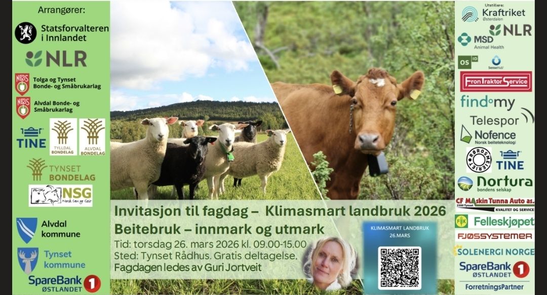 Tynset kommune | Tynset