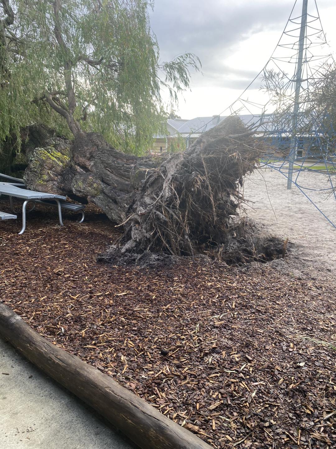 Capel Tree Service | Capel WA