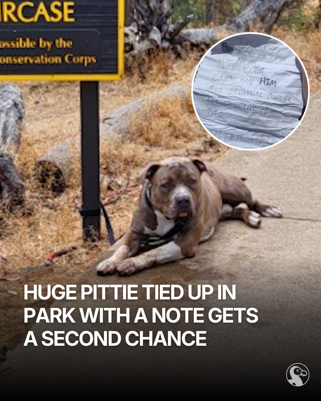 The Dodo - The note left beside him said he was a good... | Facebook