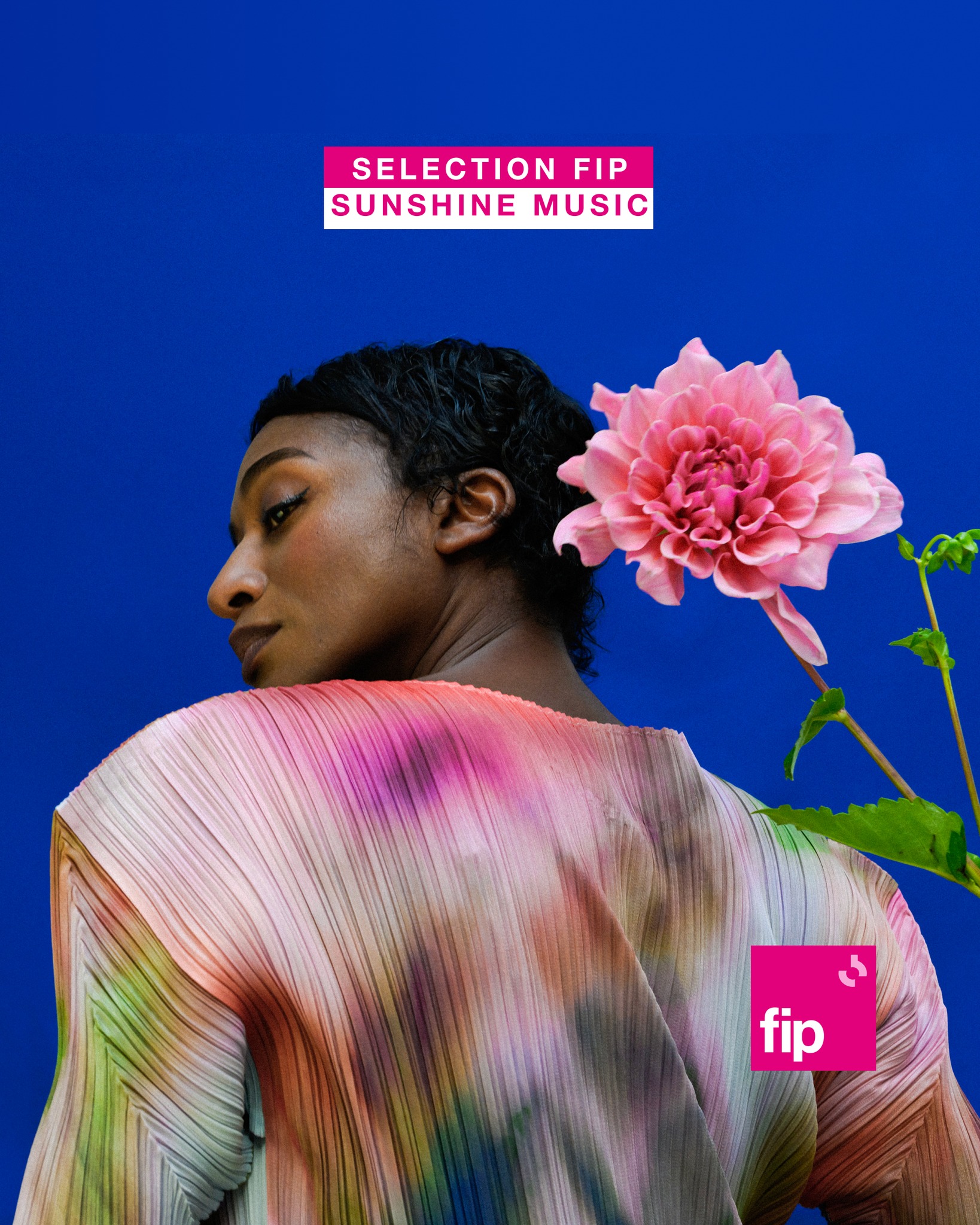 ALA.NI - SUNSHINE MUSIC - Sélection FIP ☀️📻 Lovely news of the day ...