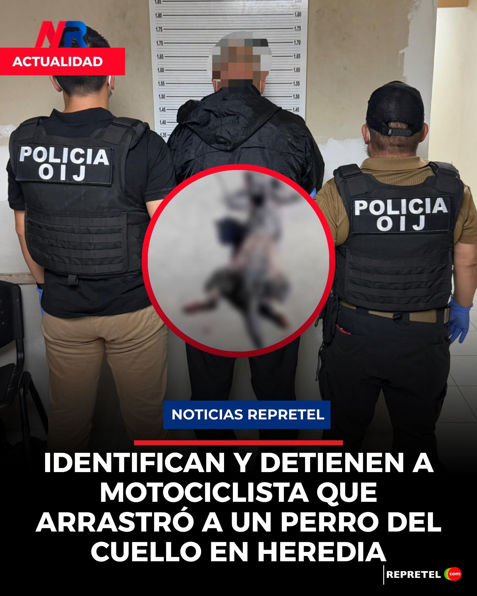 UPAnimales - 📢📢📢Se viene rifa📢📢📢 Y con un súper premio para celebrar ...