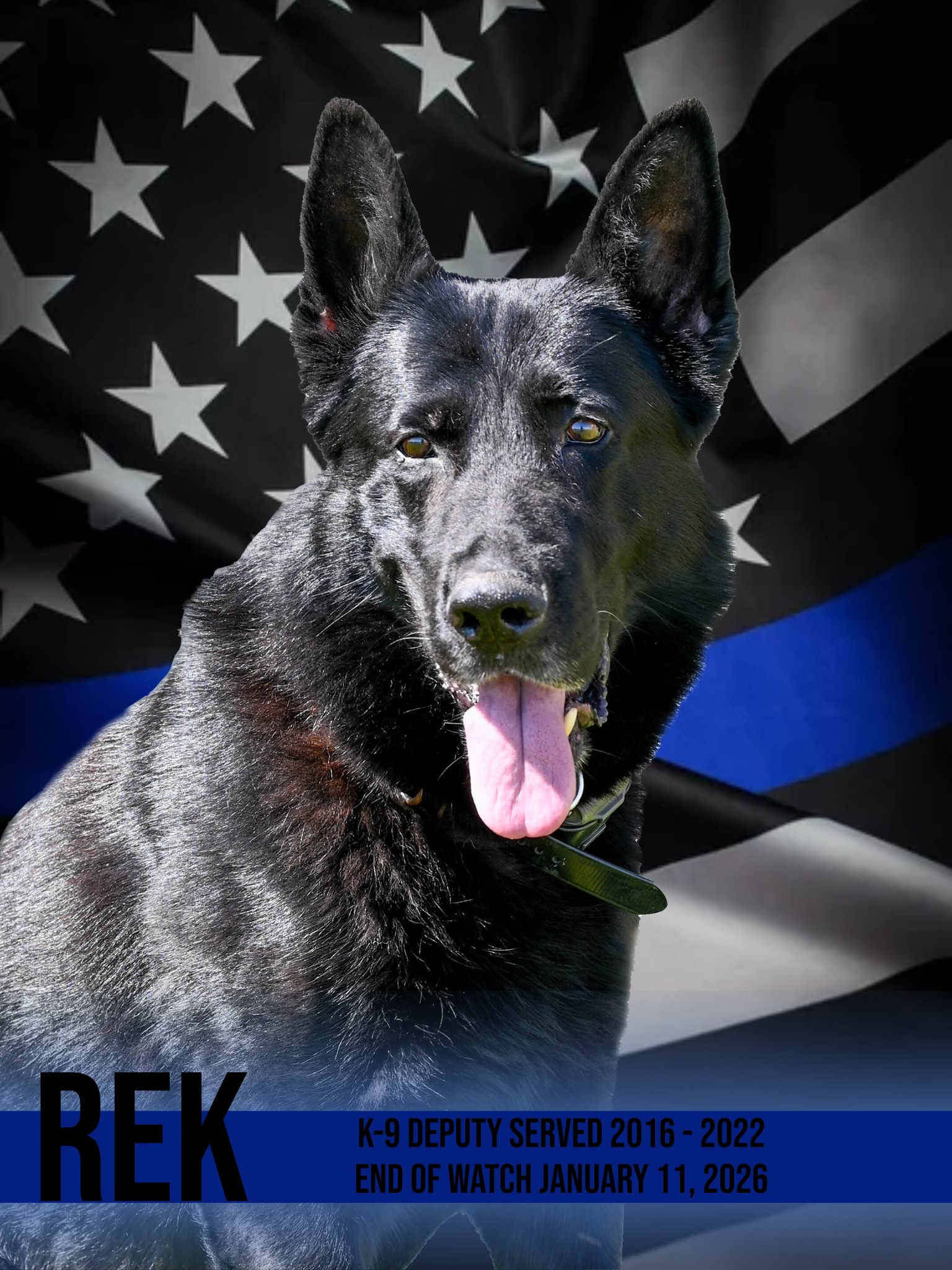NewsChannel10 - THE BEST BOY 💙: The Randall County Sheriff’s Office is ...