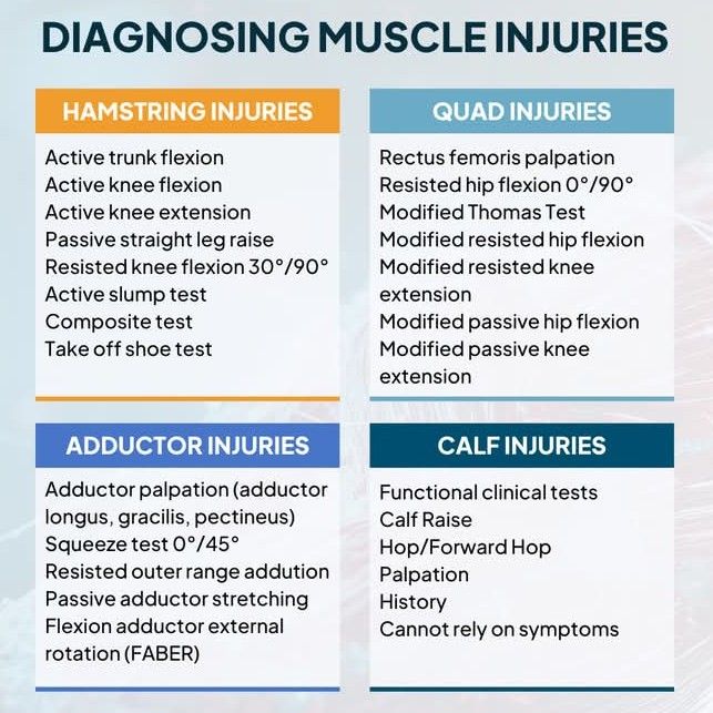 Dioni - Knowing which clinical tests to use for hamstring, quad ...