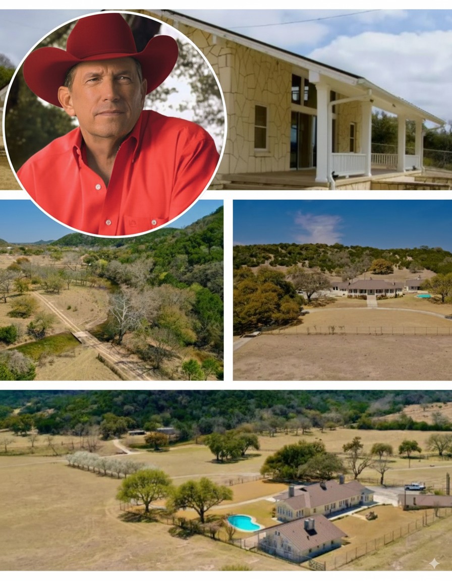The Keeshea - “I DON'T NEED MORE LUXURY HOMES I WANT TO CREATE HOPE FOR ...