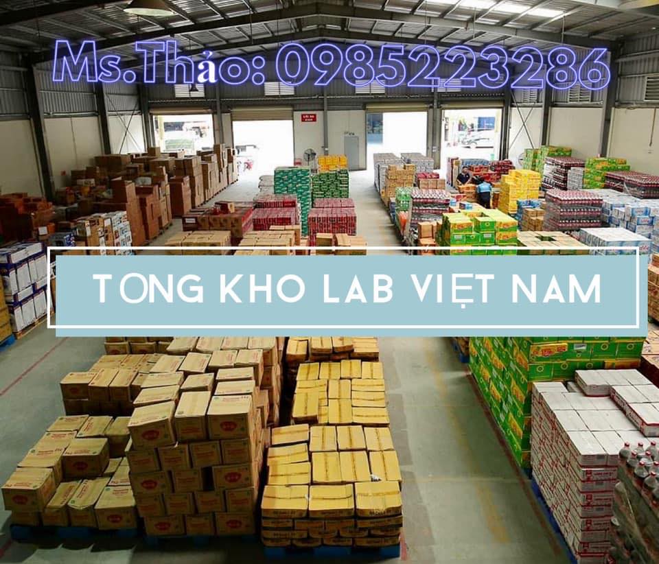 Tổng Kho - LAB Việt Nam | Hanoi