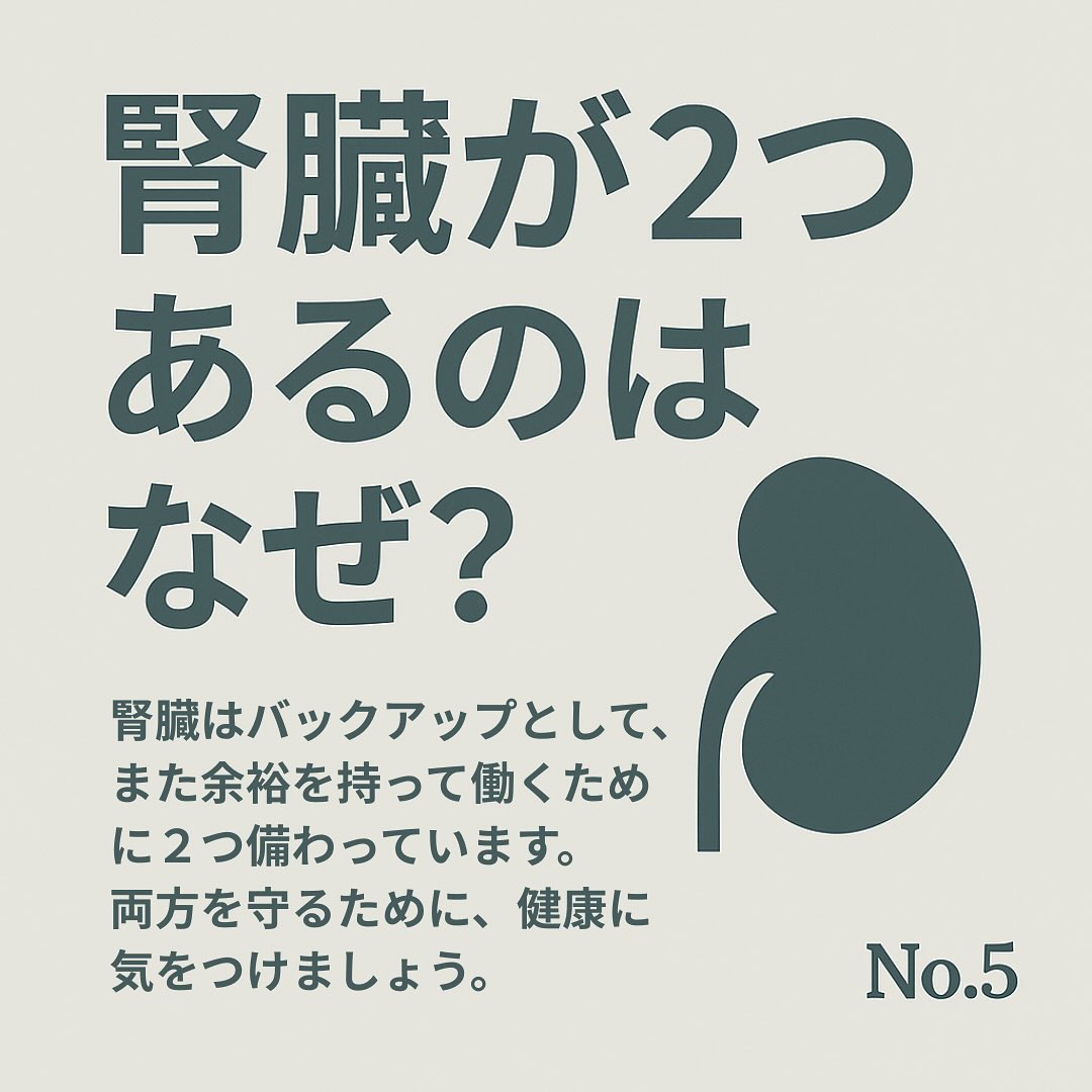 腎臓 2 つ なぜ